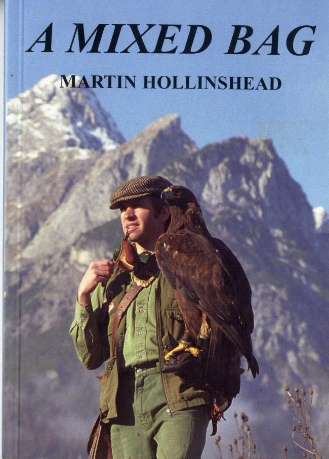 A Mixed Bag by Martin Hollinshead